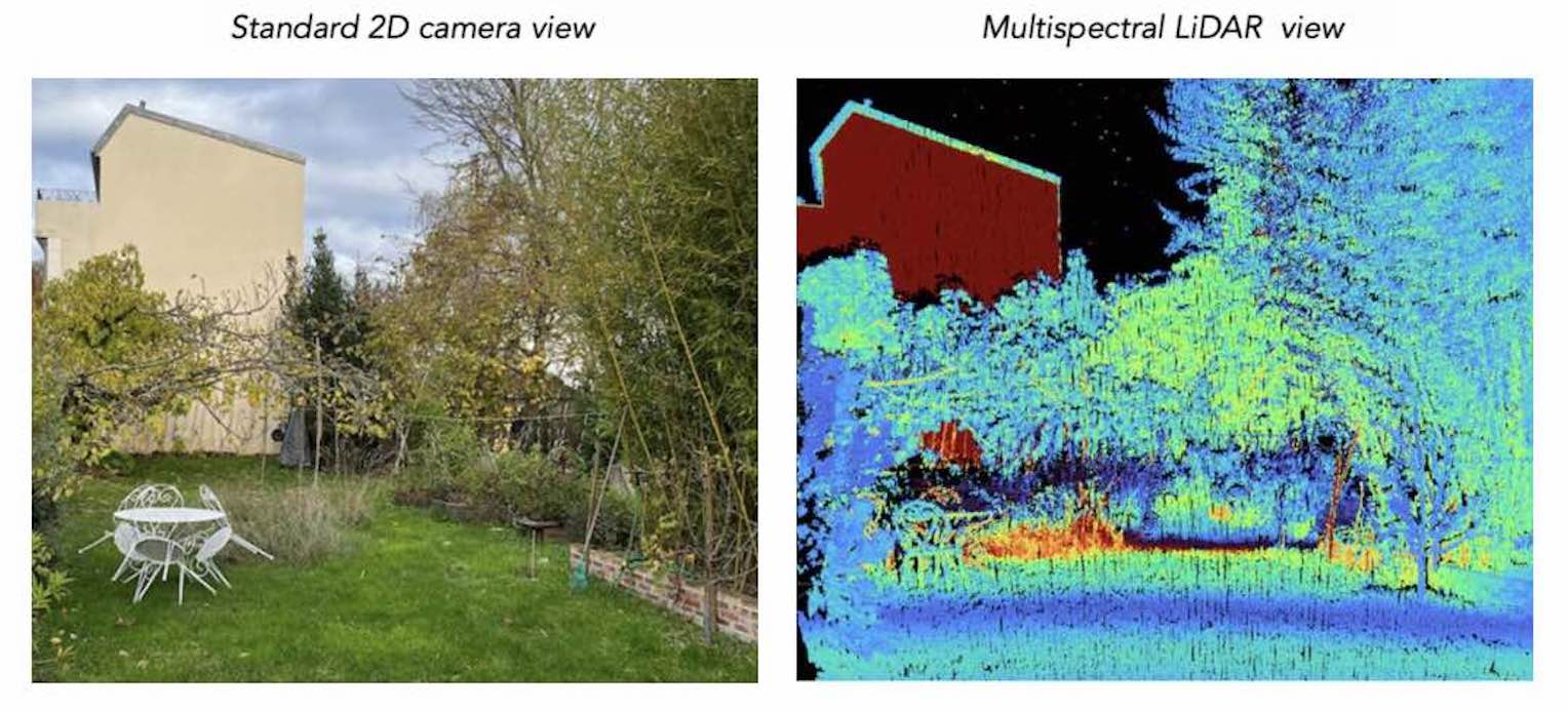 Multispectral LiDAR view of a garden with dried herbs detected