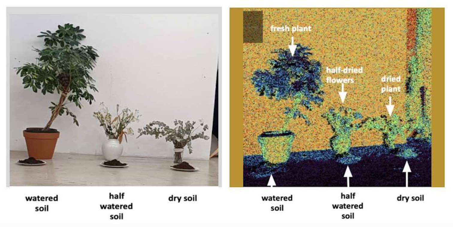 Multispectral LiDAR shows plants and soil hydratation state